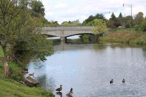 View of Delaware Park In Buffalo New York. photo