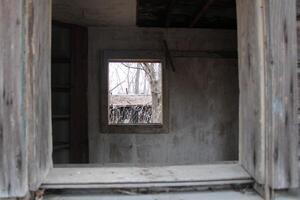 Ruins Of An Abandoned House In The Woods photo