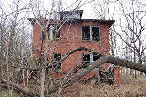 restos de un abandonado casa en el bosque foto