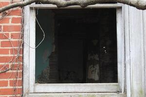 Ruins Of An Abandoned House In The Woods photo