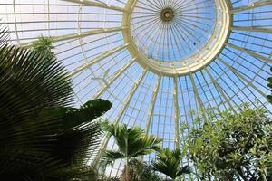 búfalo nuevo York botánico jardines edificio octubre 17 2022 foto