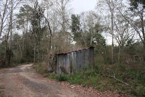 restos de un abandonado casa en el bosque foto