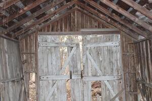 Ruins Of An Abandoned House In The Woods photo