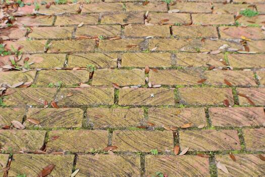 Old Brick Chimney Up Close With different angular Views. photo