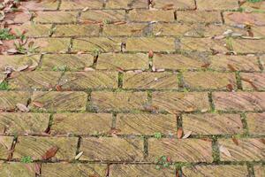 Old Brick Chimney Up Close With different angular Views. photo