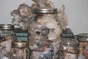 Sea Shells Displayed In Glass Jars photo