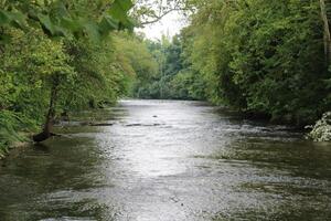 Landscape Around A Creek In Gatlinburg Tennessee photo