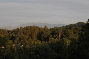 montaña paisaje alrededor Gatlinburg Tennesse foto