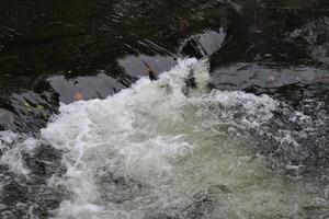 Landscape Around A Creek In Gatlinburg Tennessee photo