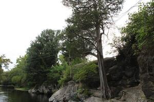 Landscape Around A Creek In Gatlinburg Tennessee photo