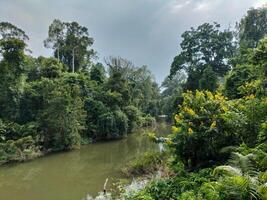 Khao Yai National Park at Nakhon Ratchasima Province in Thailand photo