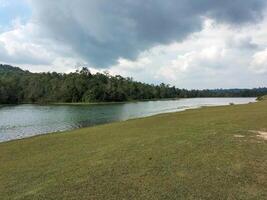 Khao Yai National Park at Nakhon Ratchasima Province in Thailand photo