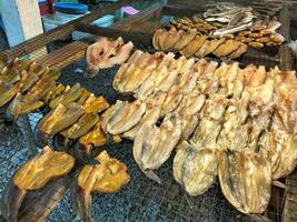 dried salt fish local food of southern of Thailand photo