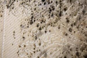 close up of danger black mold on bed sheet material photo