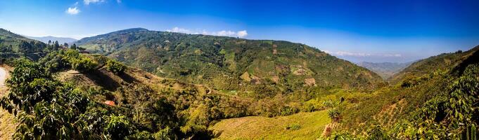 Panorama of the beautiful Coffee Cultural Landscape of Colombia declared as a World Heritage Site in 2011 photo