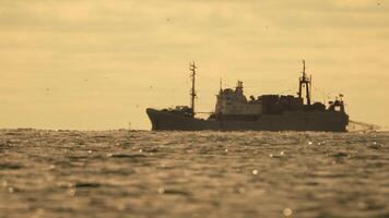 abstrakt Meer Ozean Sonnenuntergang Natur Hintergrund mit Möwen und Angeln Boot Trawler fängt Fisch während Segeln auf Meer beim Horizont im Entfernung segeln zu Fang Schule von Fisch auf Ruhe Meer Oberfläche im Sommer. video