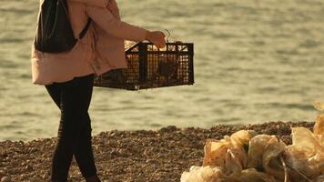 Garbage on beach - Young woman collects garbage on beach after storm, maintaining cleanliness and preserving environment. video