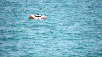 Summer Vacation man floats on an inflatable donut mattress, a water toy swim ring. Positive happy man relaxing and enjoying family summer travel holidays vacation on the sea. Slow motion video