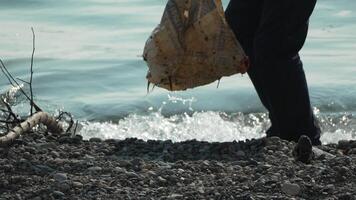 basura en playa - mayor hombre recoge basura en playa después tormenta, mantener limpieza y conservación ambiente. video