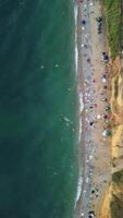 aéreo ver de arenoso playa, nadando personas en mar bahía con transparente azul agua a puesta de sol en verano. contento personas multitud relajante en playa. fiesta recreación Oceano naturaleza concepto. vertical video