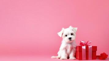 AI generated Banner with a white puppy sitting next to red gift box with pink silk ribbon soft pink background. Copy space. Valentine Day concept photo