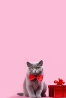 AI generated Banner with a fluffy gray British cat wearing a red bow tie around his neck and sitting next to red gift box on soft pink background. Copy space. Valentine Day concept photo