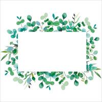 Watercolor frame, eucalyptus branches. Hand drawn botanical illustration vector