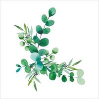 Bouquet of watercolor foliage. Eucalyptus branches. Hand drawn botanical illustration vector