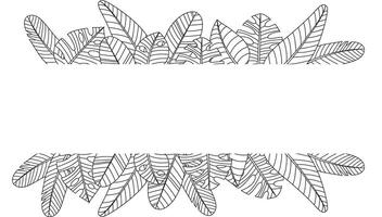 Hand drawn branches and leaves of tropical plants. Black and white seamless line horizontal texture. Monochrome doodle floral pattern. sketch. vector