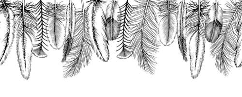 Feather Border. Seamless background of quills. Outline illustration on isolated transparent background. Black and white line art of bird Plumes fluff. Hand drawn sketch for pattern or frame vector