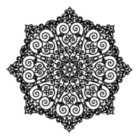 élégant noir floral mandala Contexte png