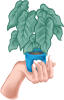 Day of Plant Health Illustration png