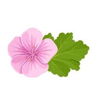 Illustration, pink geranium, with green leaves, isolated on white background. vector