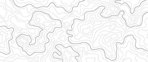 topográfico mapa modelo antecedentes . resumen montaña terreno mapa antecedentes con resumen forma línea textura. diseño ilustración para pared arte, tela, embalaje, web, bandera, fondo de pantalla. vector