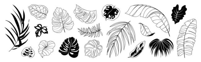 Tropical leaves hand drawn line art and silhouette set. Collection of leaf branch, monstera, palm leaves black white drawing contour simple style. Design illustration for print, logo, branding. vector