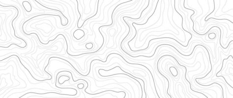 Topographic map pattern background . Abstract mountain terrain map background with abstract shape line texture. Design illustration for wall art, fabric, packaging, web, banner, wallpaper. vector