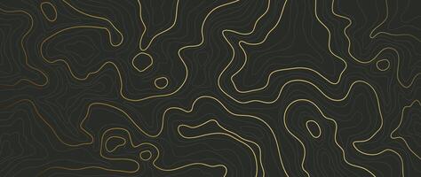 Luxury gold abstract line art background . Mountain topographic terrain map background with gold lines texture. Design illustration for wall art, fabric, packaging, web, banner, app, wallpaper. vector