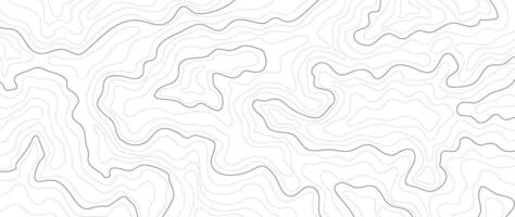 Topographic map pattern background . Abstract mountain terrain map background with abstract shape line texture. Design illustration for wall art, fabric, packaging, web, banner, wallpaper. vector