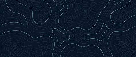 Topographic map pattern background . Abstract mountain terrain map background with abstract shape line texture. Design illustration for wall art, fabric, packaging, web, banner, wallpaper. vector