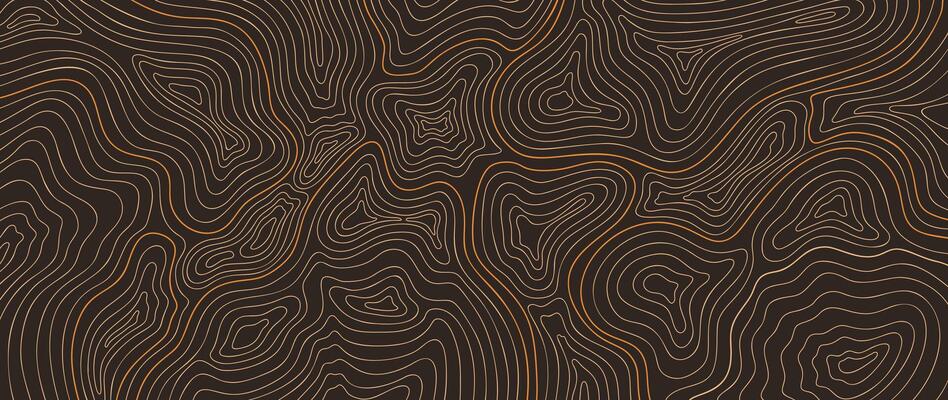 Topographic map pattern background . Abstract mountain terrain map background with abstract shape line texture. Design illustration for wall art, fabric, packaging, web, banner, wallpaper.