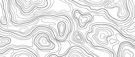 Topographic map pattern background . Abstract mountain terrain map background with abstract shape line texture. Design illustration for wall art, fabric, packaging, web, banner, wallpaper. vector