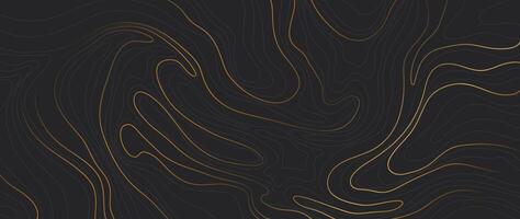 Luxury gold abstract line art background . Mountain topographic terrain map background with gold lines texture. Design illustration for wall art, fabric, packaging, web, banner, app, wallpaper. vector