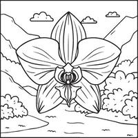 Orchid flower coloring pages. Orchid flower outline for coloring book vector