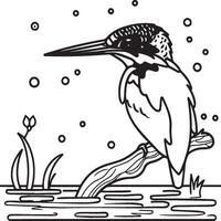 Kingfisher coloring page. A black and white drawing of kingfisher vector