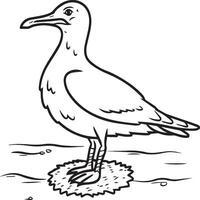 Seagull coloring pages. Seagull outline for coloring book vector