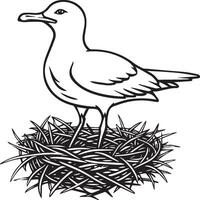 Seagull coloring pages. Seagull outline for coloring book vector