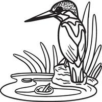 Kingfisher coloring page. A black and white drawing of kingfisher vector