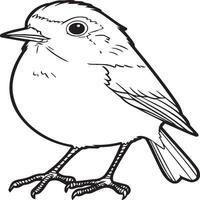 Robin coloring pages. Robin bird outline for coloring book vector