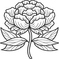 Peony coloring pages. Peony flower outline for coloring book vector