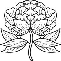 Peony coloring pages. Peony flower outline for coloring book vector